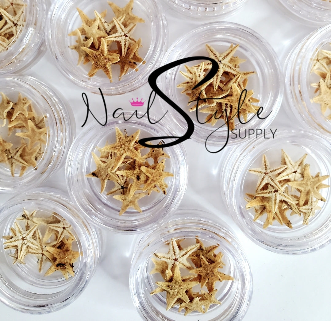 ESTRELLAS DE MAR